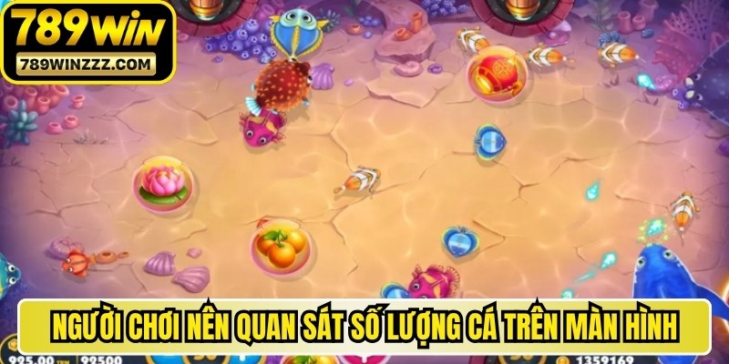 Người chơi nên quan sát số lượng cá trên màn hình và lựa chọn các mục tiêu