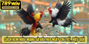Cách Xem Màu Mạng Gà Đá Theo Ngày Chi Tiết, Hiệu Quả