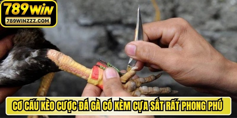Cơ cấu kèo cược đá gà có kèm cựa sắt rất phong phú và độc đáo