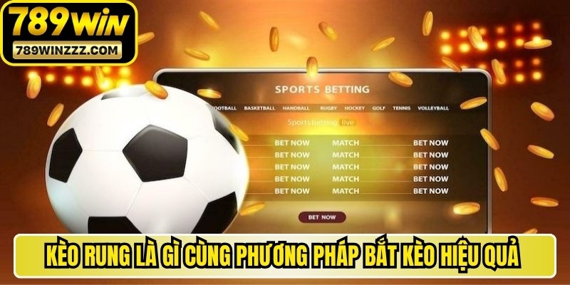 Kèo rung là gì cùng phương pháp bắt kèo cá cược hiệu quả ra sao